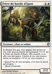 Frère de bande d'Ajani - 