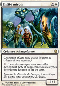 Entité miroir - 