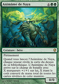 Animâme de Naya - 