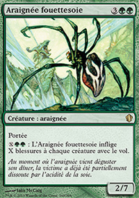 Araignée fouettesoie - 