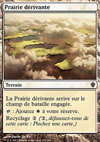 Prairie dérivante - 
