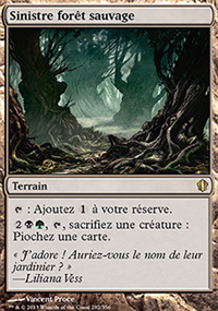 Sinistre forêt sauvage - 