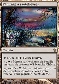 Pâturage à sautelièvres - 