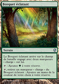 Bosquet éclatant - 