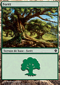 Forêt - 