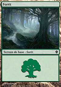 Forêt - 