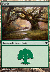 Forêt - 