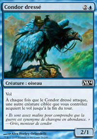Condor dress - Magic 2014