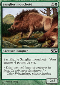 Sanglier mouchet - Magic 2014