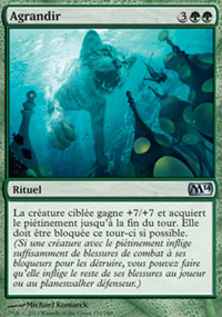 Agrandir - Magic 2014