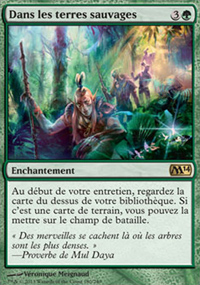 Dans les terres sauvages - Magic 2014