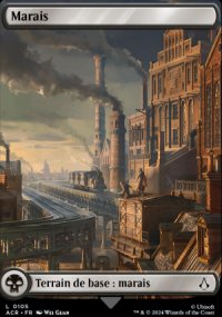 Marais - Assassins Creed