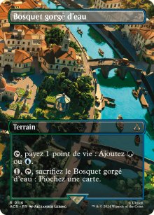 Bosquet gorg d'eau - Assassins Creed