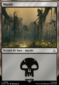 Marais - Assassins Creed