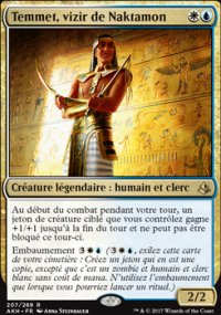 Temmet, vizir de Naktamon - 