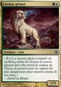 Léotau grison - 