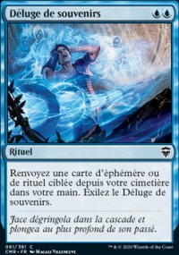 Déluge de souvenirs - 
