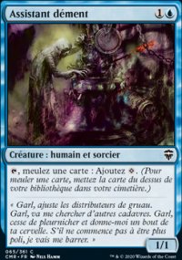 Assistant dément - 