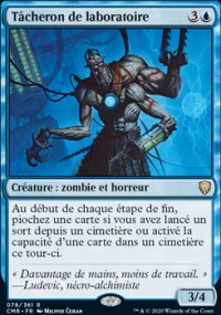 Tâcheron de laboratoire - 