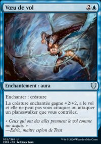 Vœu de vol - 