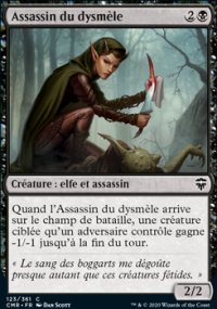 Assassin du dysmèle - 