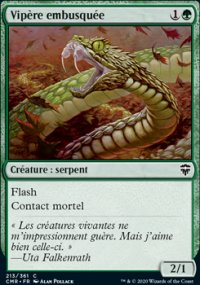 Vipère embusquée - 