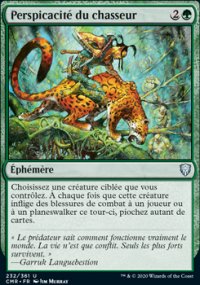 Perspicacité du chasseur - 