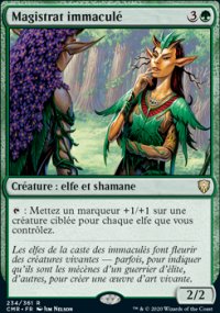 Magistrat immaculé - 