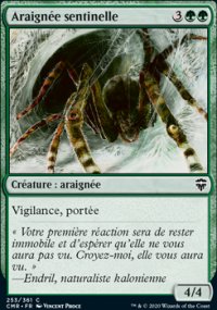 Araignée sentinelle - 