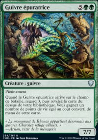 Guivre épuratrice - 