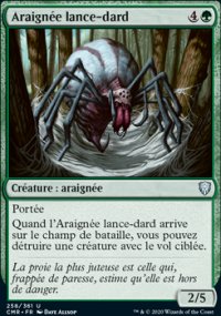 Araignée lance-dard - 