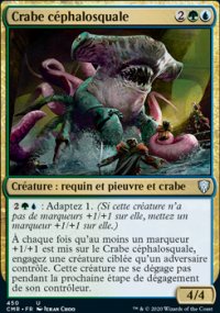 Crabe céphalosquale - 