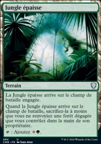 Jungle épaisse - 