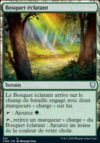 Bosquet éclatant - 