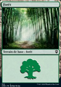 Forêt - 