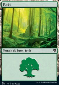 Forêt - 