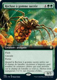 Recluse à gomme sucrée - 