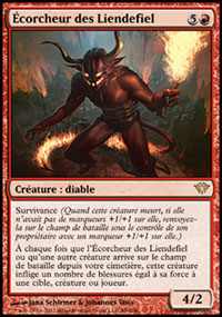 Écorcheur des Liendefiel - 