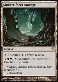 Sinistre forêt sauvage - 