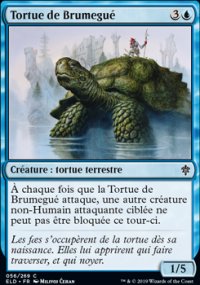 Tortue de Brumegu - 