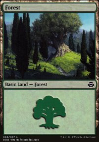 Forêt - 