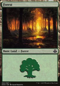Forêt - 