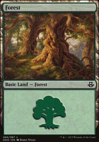Forêt - 