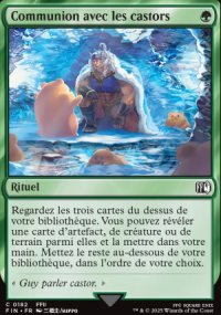 Communion avec les castors - Final Fantasy