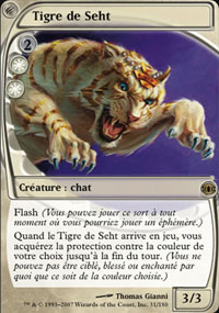 Tigre de Seht - 
