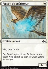 Faucon de guérisseur - 