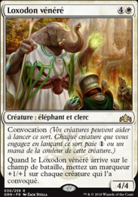 Loxodon vénéré - 