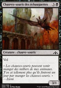 Chauves-souris des échauguettes - 