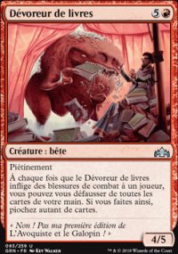 Dévoreur de livres - 