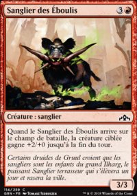 Sanglier des Éboulis - 